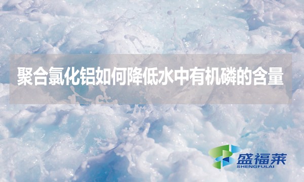 聚合氯化鋁如何降低水中有機(jī)磷的含量？